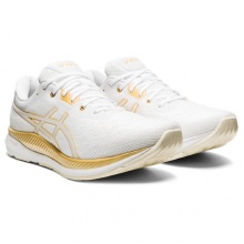 Asics Laufschuhe EvoRide (Komfort) weiss Herren