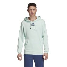 adidas Kapuzenpullover (Hoodie) Graphic hellgrün Herren