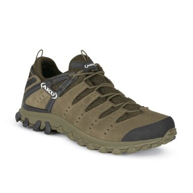 AKU Wanderschuhe Alterra Lite GTX (Trekking, wasserdicht) camogrün Herren