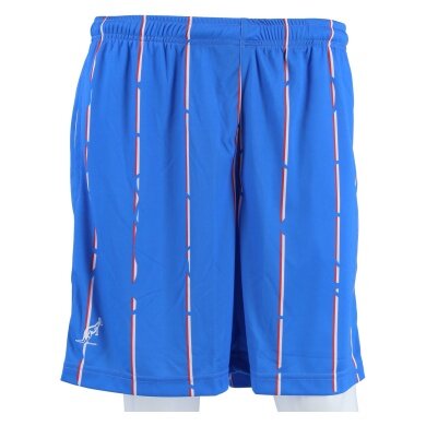 Australian Tennishose Short Stripes in Ace kurz blau Herren