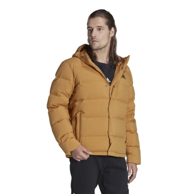 adidas Winter-Daunenjacke Helionic (wind-wasserabweisend) braun/gelb Herren