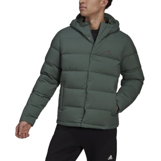 adidas Winter-Daunenjacke Helionic (wind- und wasserabweisend) grün Herren