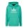 Alpha Industries Kapuzenpullover (Hoodie) Basic Logo atomicgrün Herren