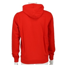 Champion Kapuzenpullover (Hoodie) Graphic Shop rot Herren