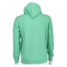 Champion Kapuzenpullover (Hoodie) Pastelfarben 2021 grün Herren