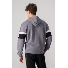 Champion Kapuzenpullover mit Half-Zip (Baumwoll-Hoodie) American Tape dunkelgrau Herren