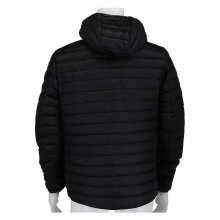 Champion Steppjacke mit Kapuze (leichte wattierung, warm) 2024 schwarz Herren