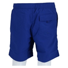 Champion Freizeithose (mit Innennetz) Short mit Logo-Schriftzug 2024 royalblau Herren