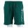 Champion Freizeithose (mit Innennetz) Short mit Logo-Schriftzug 2024 grün Herren