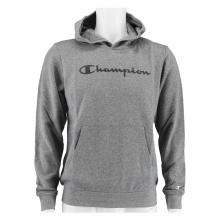 Champion Kapuzenpullover (Hoodie) Classic Big Logo Print grau Jungen