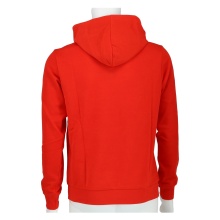 Champion Kapuzenpullover (Hoodie) Graphic Shop Logo rot Jungen