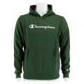 Champion Kapuzenpullover Hoodie Big Logo Print (gefüttert) dunkelgrün Kinder