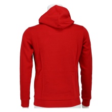 Champion Kapuzenpullover (Fleece Baumwoll-Hoodie) mit New York-Logo rot Kinder