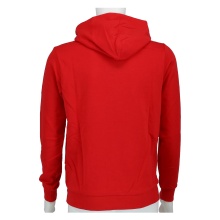 Champion Kapuzenpullover (Baumwoll-Hoodie) Big Logo 2024 rot Jungen/Boys