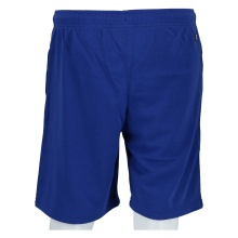 Champion Freizeithose (Baumwolle) Bermuda mit Logo-Schriftzug kurz 2024 royalblau Jungen