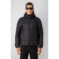 Champion Winter-Steppjacke mit Kapuze - Funktionswattierung - schwarz Herren