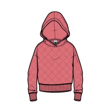 Champion Kapuzenpullover Hoodie American Classic pink Mädchen