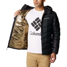 Columbia Winter-Daunenjacke Labyrinth Loop mit Kapuze (Omni-Heat Infinity, synthetische Daunen) schwarz Herren