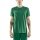 Craft Sport-Tshirt Progress Indoor Jersey (elastisches Material) grün Herren