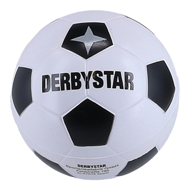 Derbystar Minisoftball v23 weiss/schwarz