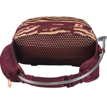 Dakine Gürteltasche Hot Laps Hüfttasche 5 Liter OCHRE STRIPE/PORT weinrot