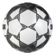 Derbystar Fussball Brilliant TT v24 (Tainingsball) weiss/silber - 1 Ball