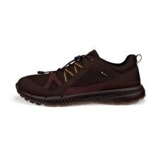 ECCO Wanderschuhe Terracruise ll TEX GTX 2025 (wasserdicht, strapazierfähige Sohle) mochabraun Herren