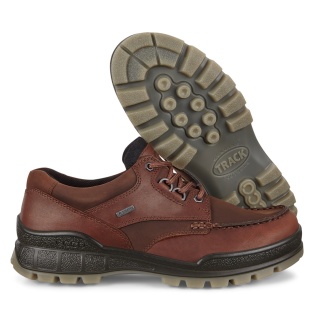 ECCO Wanderschuhe Track 25 Low GTX (Alltagschuhe, Leder, wasserdicht) braun Herren