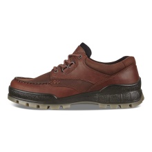 ECCO Wanderschuhe Track 25 Low GTX (Alltagschuhe, Leder, wasserdicht) braun Herren