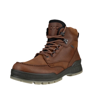 ECCO Alltag-Travelschuhe Track 25 Mid GTX (Nubukleder, wasserdicht) braun Herren