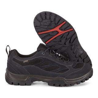 ECCO Wanderschuhe Expedition III Low GTX (wasserdicht) schwarz Herren