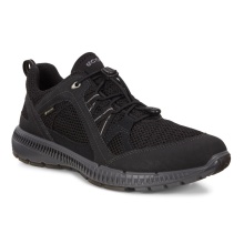 ECCO Wanderschuhe Terracruise ll W TEX GTX (wasserdicht, strapazierfähige Sohle) schwarz Damen