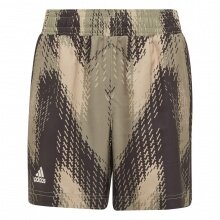 adidas Tennishose Short Printed beigebraun/olive Jungen