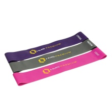 HMS Premium Widerstandsband GU04 Pro Set (violett, grau, pink) - 3 Stück