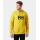 Helly Hansen Kapuzenpullover Logo Hoodie (Bio-Baumwolle) gelb Herren