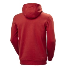 Helly Hansen Kapuzenpullover Logo Hoodie (Bio-Baumwolle) rot Herren