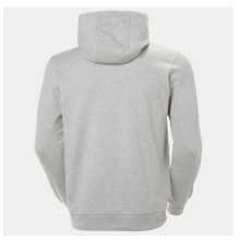 Helly Hansen Kapuzenpullover Logo Hoodie (Bio-Baumwolle) grau Herren