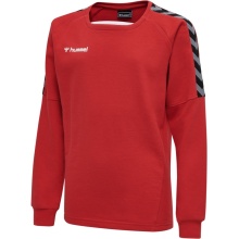 hummel Sport-Langarmshirt hmlAUTHENTIC Training Sweat (Sweatstoff, Rippbündchen) rot Kinder