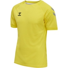 hummel Sport-Tshirt hmlLEAD Poly Jersey (Mesh-Material) Kurzarm gelb Herren