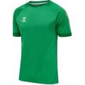 hummel Sport-Tshirt hmlLEAD Poly Jersey (Mesh-Material) Kurzarm grün Herren