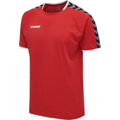 hummel Sport-Tshirt hmlAUTHENTIC Training Tee (Baumwoll-Polyestergemisch) Kurzarm rot Herren