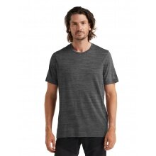 Icebreaker Wander-/Freizeit Tshirt Tech Lite II (100% Wolle, Stoffstärke 150 Ultralight) grau Herren