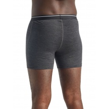 Icebreaker Boxershort Anatomica (Merinowolle) Unterwäsche grau Herren