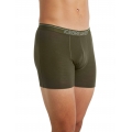 Icebreaker Boxershort Anatomica (Merinowolle) Unterwäsche lodengrün Herren