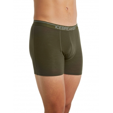 Icebreaker Boxershort Anatomica (Merinowolle) Unterwäsche lodengrün Herren