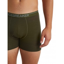 Icebreaker Boxershort Anatomica (Merinowolle) Unterwäsche lodengrün Herren