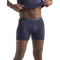 Icebreaker Boxershort Anatomica (Merinowolle) Unterwäsche dunkelblau Herren