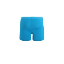 Icebreaker Boxershort Anatomica (Merinowolle) Unterwäsche geoblau Herren