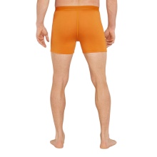 Icebreaker Boxershort Anatomica (Merinowolle) Unterwäsche gelb Herren