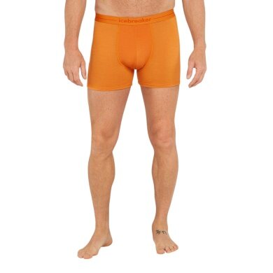 Icebreaker Boxershort Anatomica (Merinowolle) Unterwäsche gelb Herren